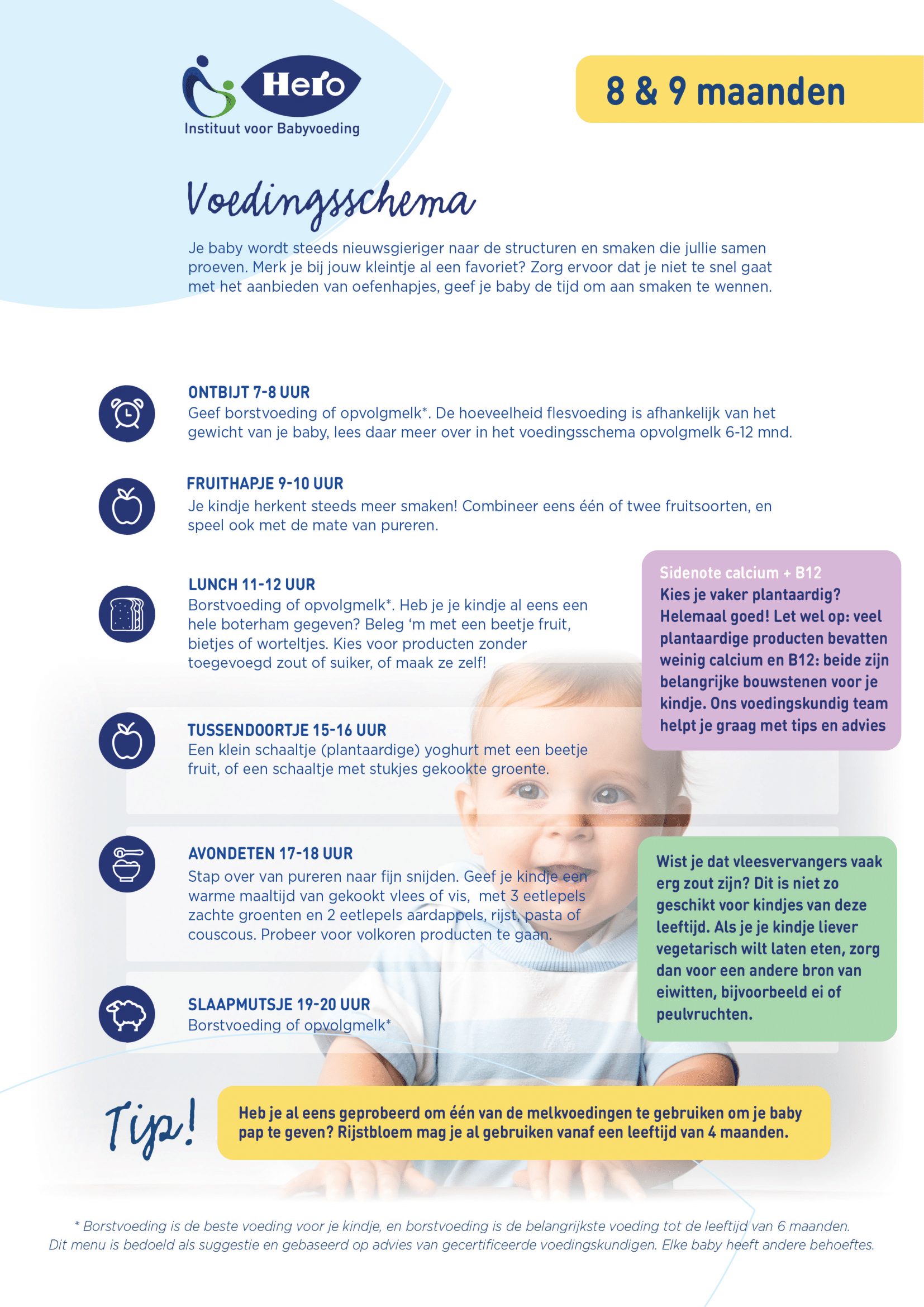 maart Jolly vitamine Voedingsschema | Baby 8-9 maanden | Hero Instituut voor Babyvoeding
